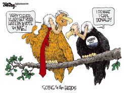 PUTIN ENDORSES HARRIS by Bill Day