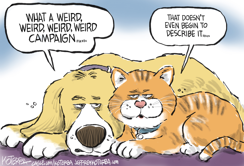 Cats and Dogs in the Campaign