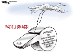 FLORIDA WHISTLEBLOWER SAVES PARKS by Bill Day