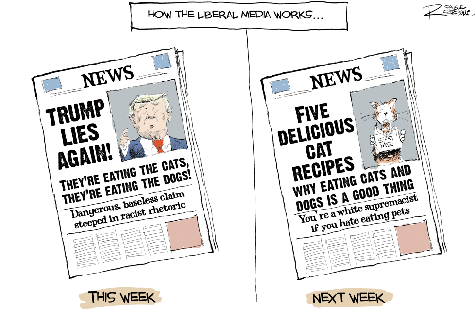 How the liberal media spins news