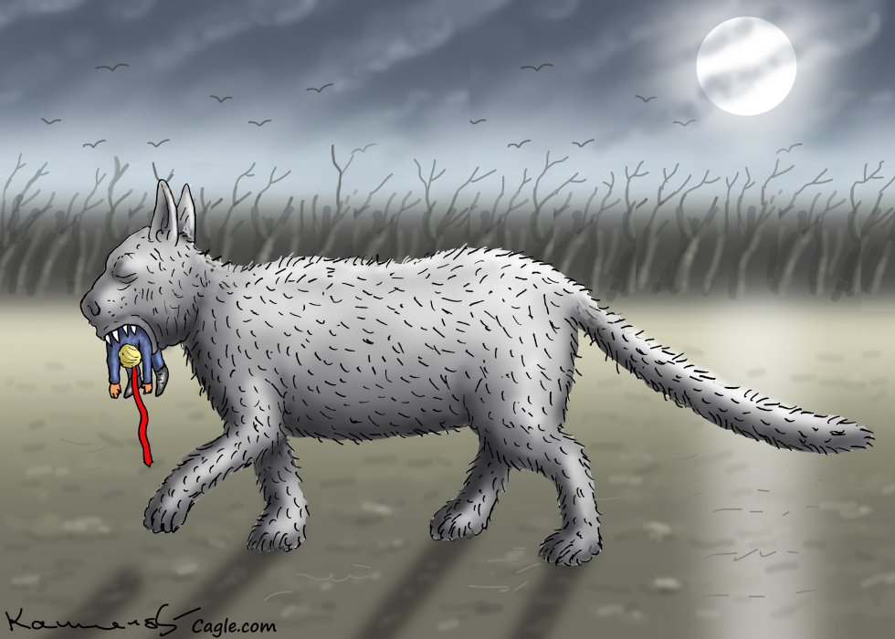Brave Cat