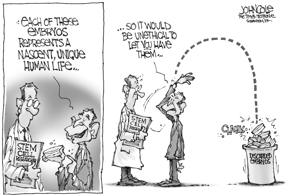 Bush and stem cells