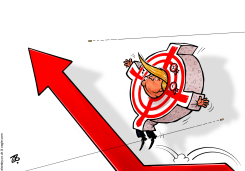 TRUMP ASSASSIN ATTEMPT TARGET POLLS JUMP ELECTION by Emad Hajjaj