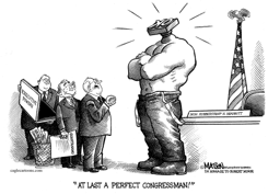 CONGRESSMAN RUBBERSTAMP by R.J. Matson