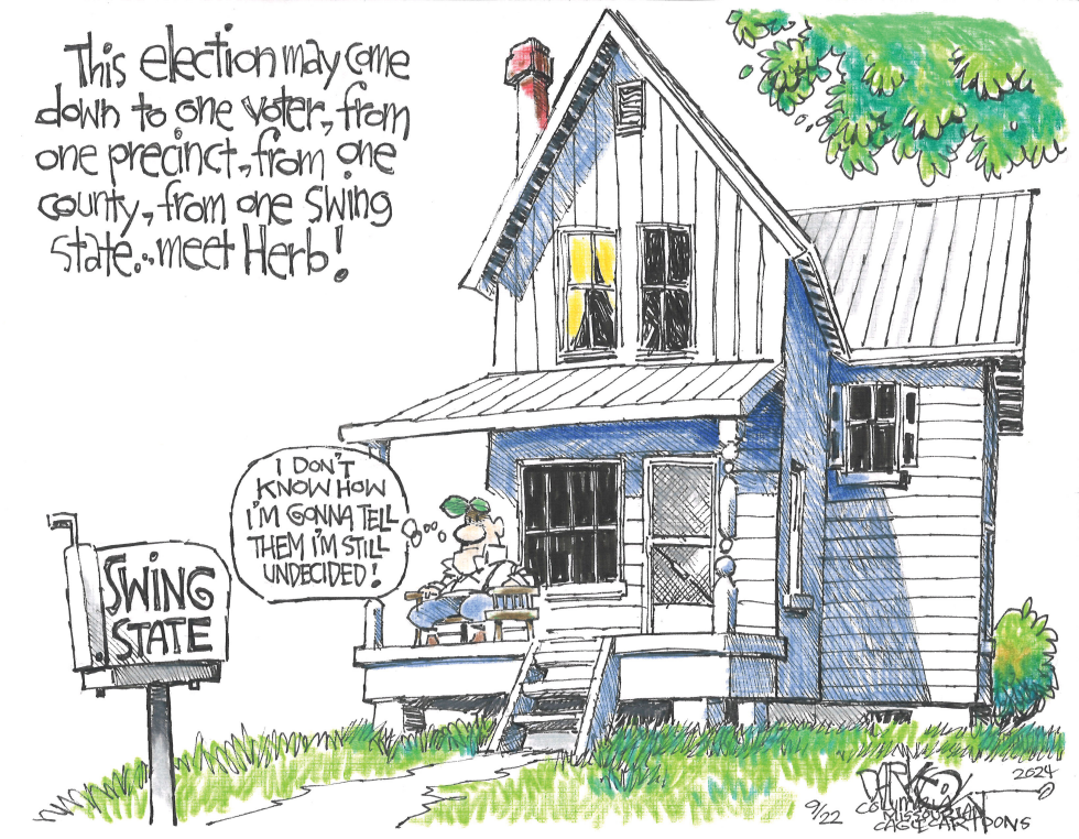 Election decided by the few