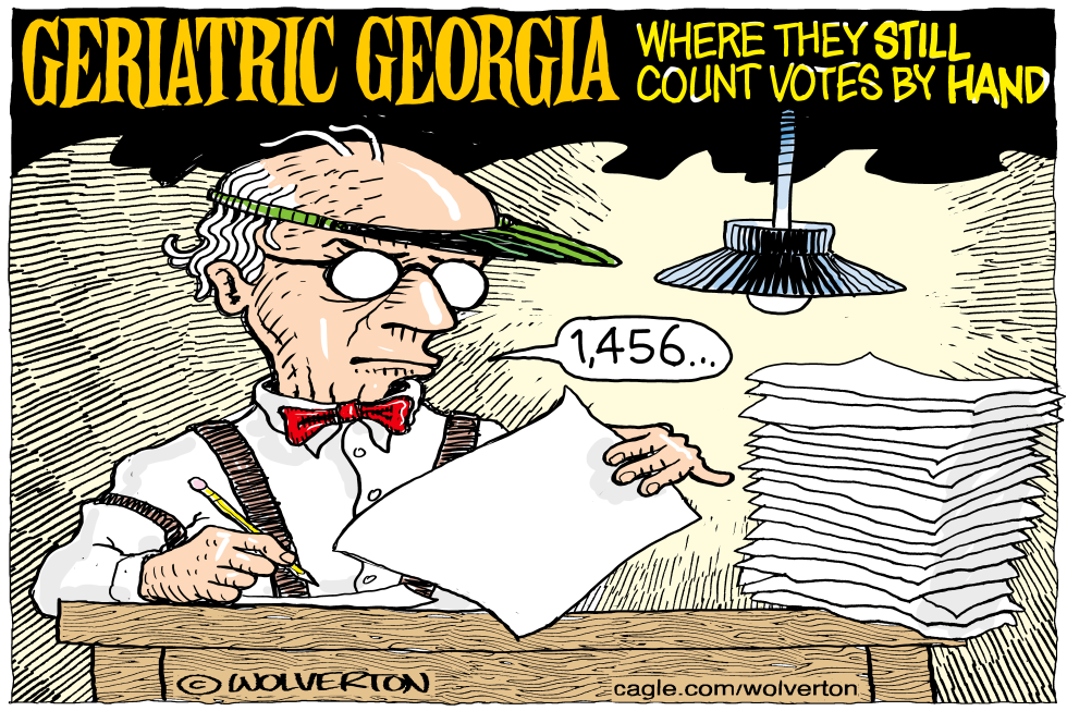 Geriatric Georgia Still Counting Votes by Hand