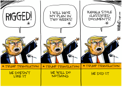 TRUMP TRANSLATION by Dave Whamond