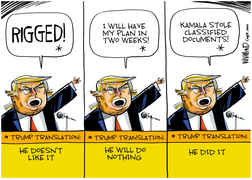 Trump Translation