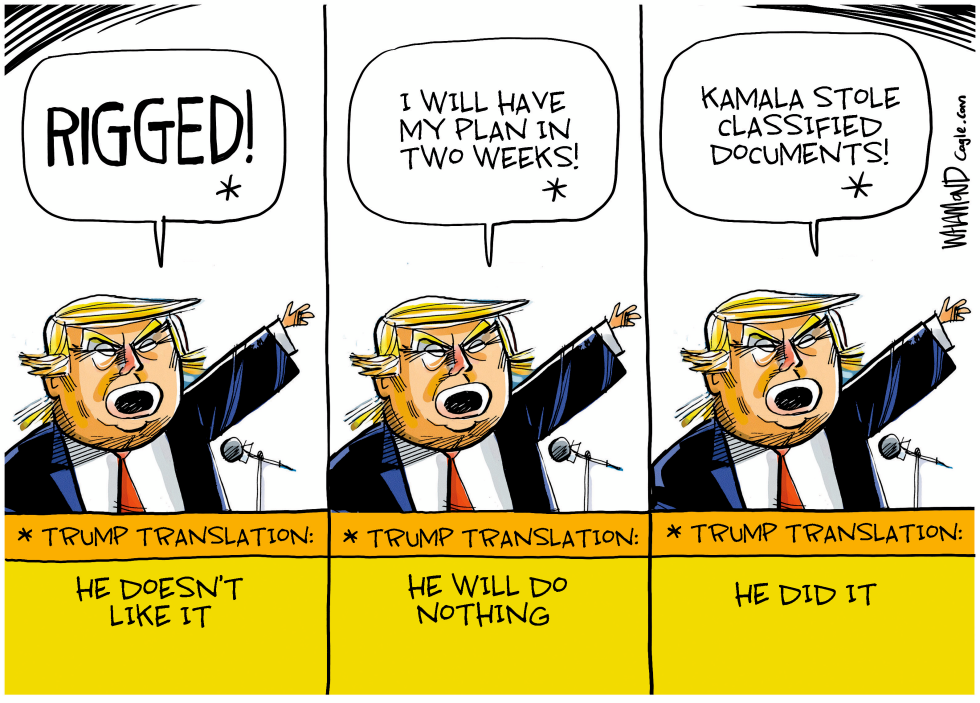 Trump Translation