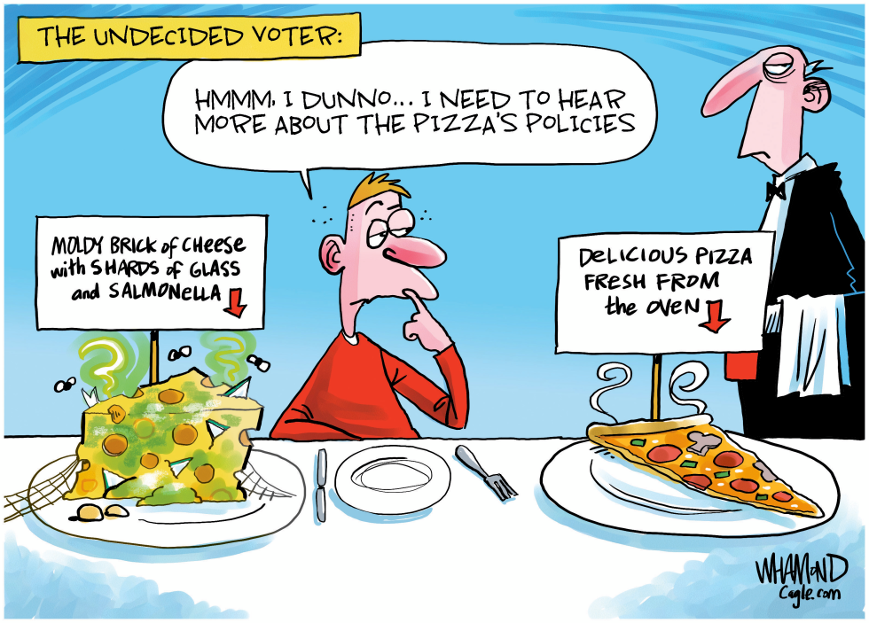 #3 THE UNDECIDED VOTER by Dave Whamond