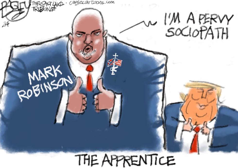 Mark Robinson