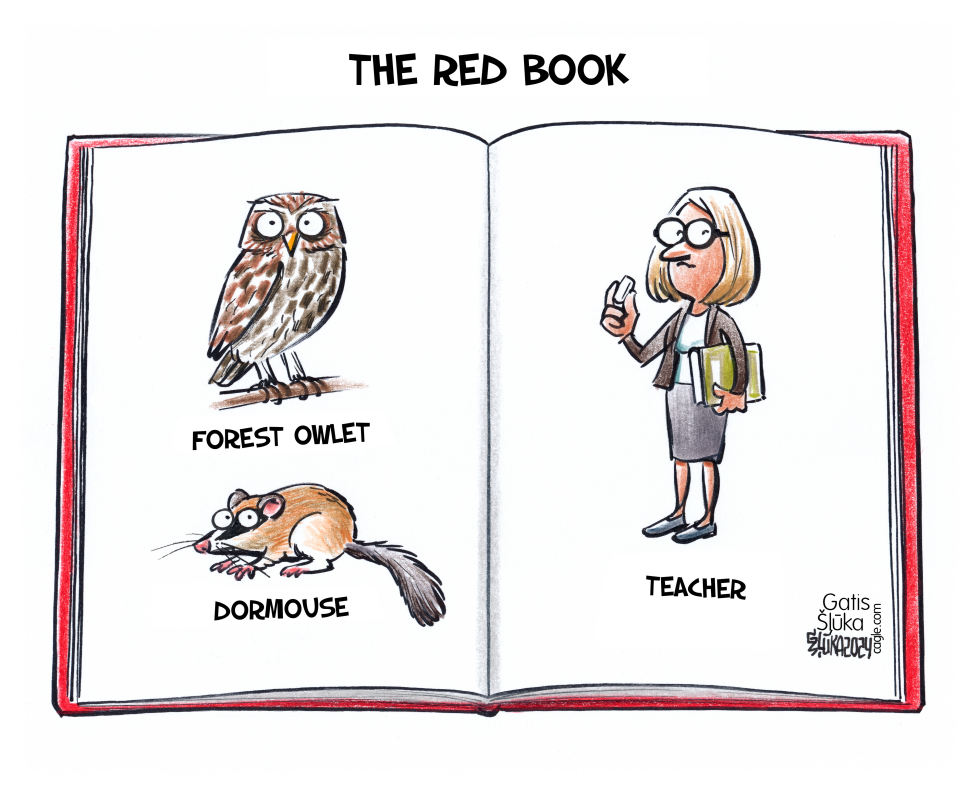 The Red book with animals