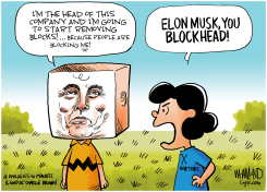 ELON MUSK MAY REMOVE X BLOCK BUTTON  by Dave Whamond