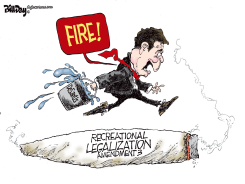 FLORIDA MARIJUANA LEGALIZATION AMENDMENT by Bill Day