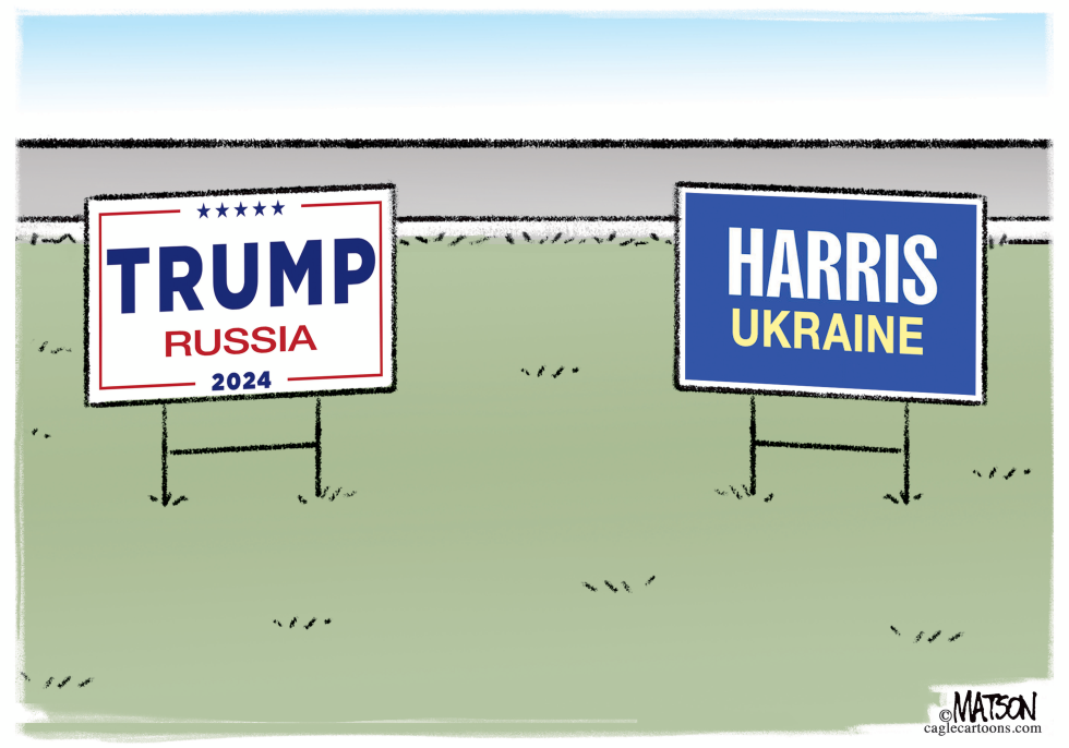 Trump and Harris Campaign Yard Signs