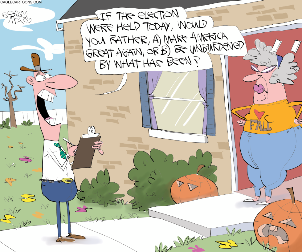 The Choice For Voters
