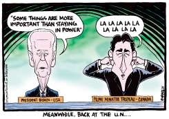 MEANWHILE BACK AT THE U.N by Ingrid Rice