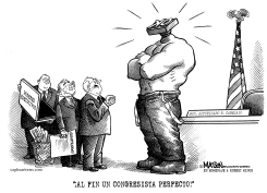 CONGRESISTA AUTORIZADO by R.J. Matson