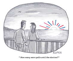 HOW MANY VOTER POLLS UNTIL THE ELECTION by Peter Kuper