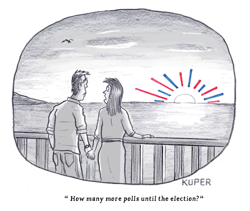How Many Voter Polls Until The Election?