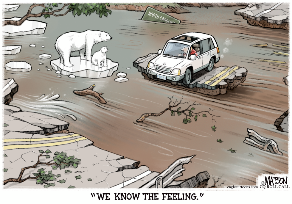 Polar Bear Empathy For Hurricane Helene Victim
