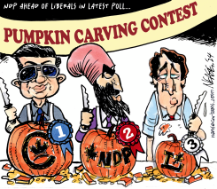 PUMPKINS by Steve Nease