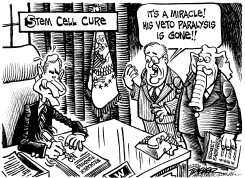 STEM CELL CURE by John Trever