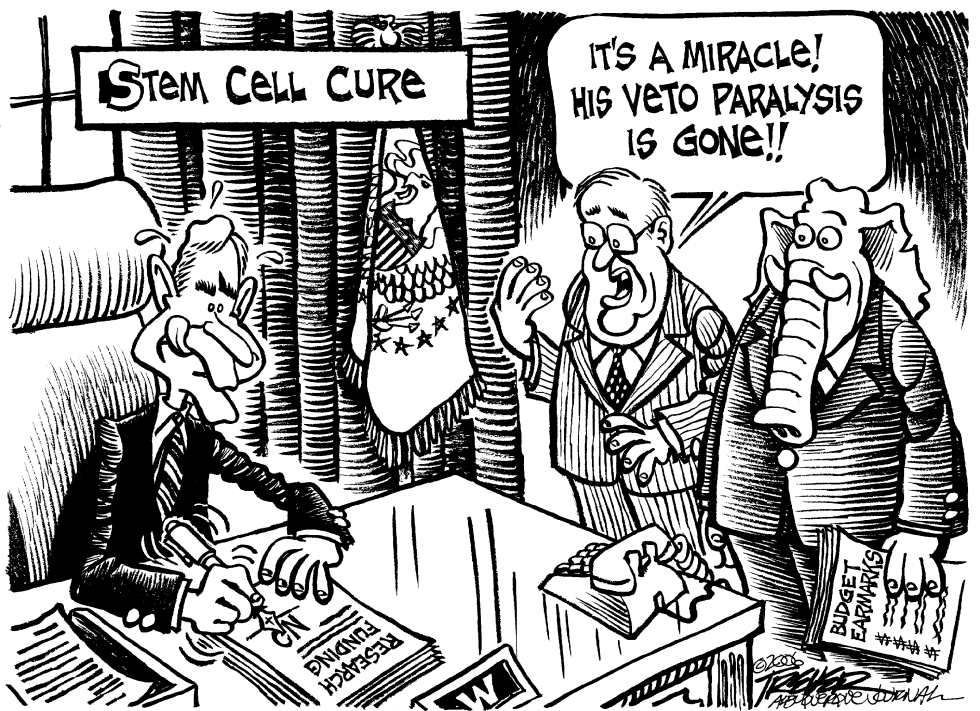 Stem Cell Cure