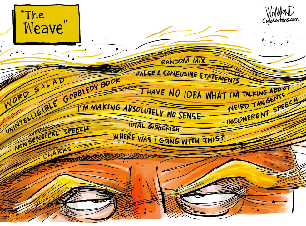 Trump and his incoherent weaves