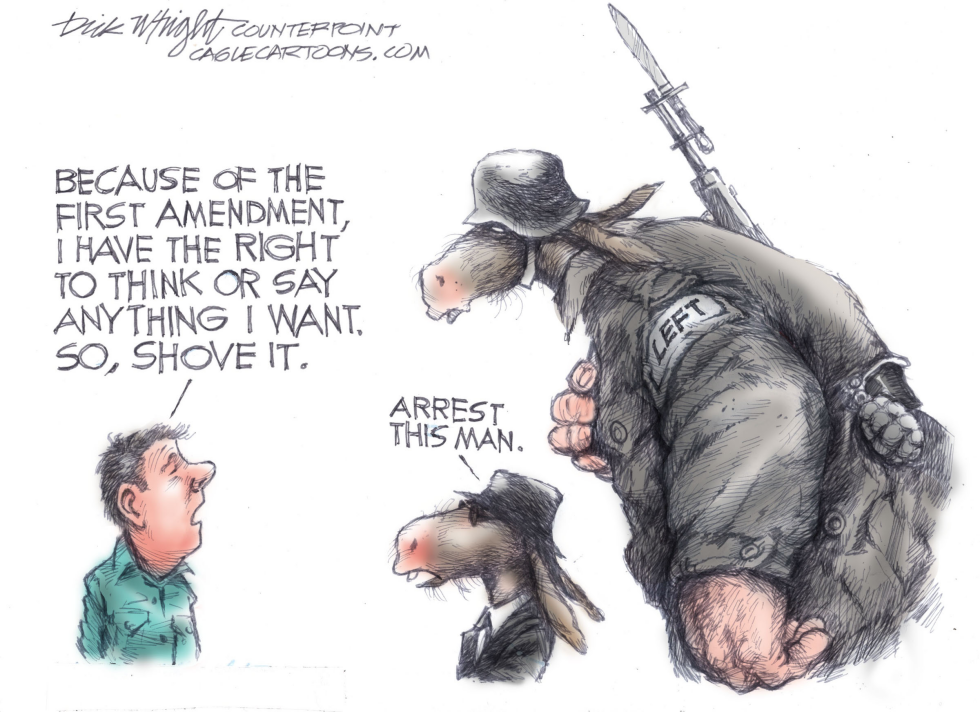 First Amendment Attacks