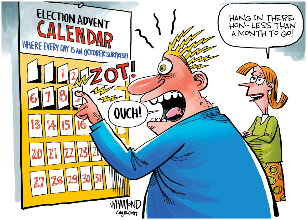 #1 ELECTION COUNTDOWN by Dave Whamond