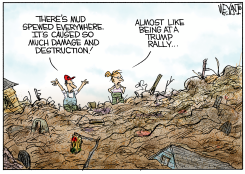 HURRICANE MUDSLIDE TRUMP RALLY by Christopher Weyant