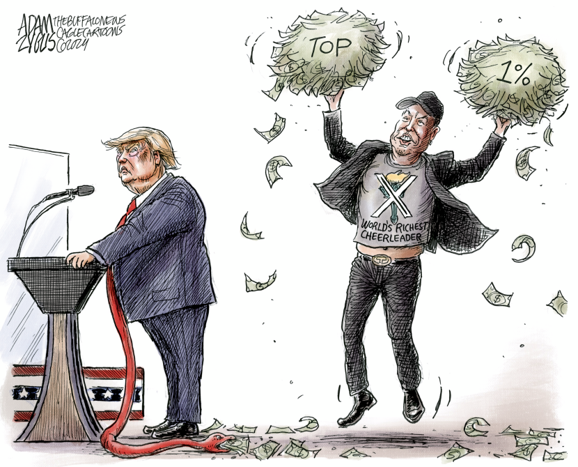Trump's Cheerleader