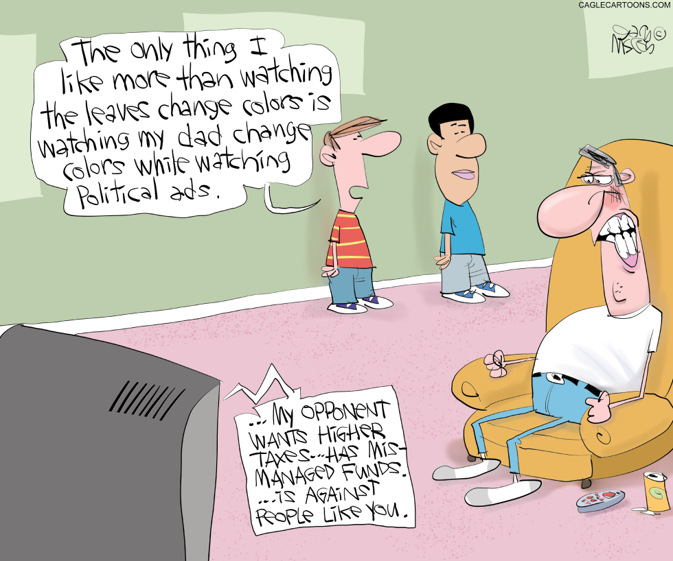 Commercials Anger Voters