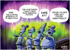 AURORA BOREALIS WATCHERS by Dave Whamond