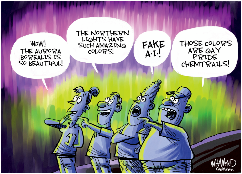 Aurora Borealis watchers