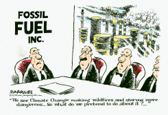 CLIMATE CHANGE, WILDFIRES AND HURRICANES by Jimmy Margulies