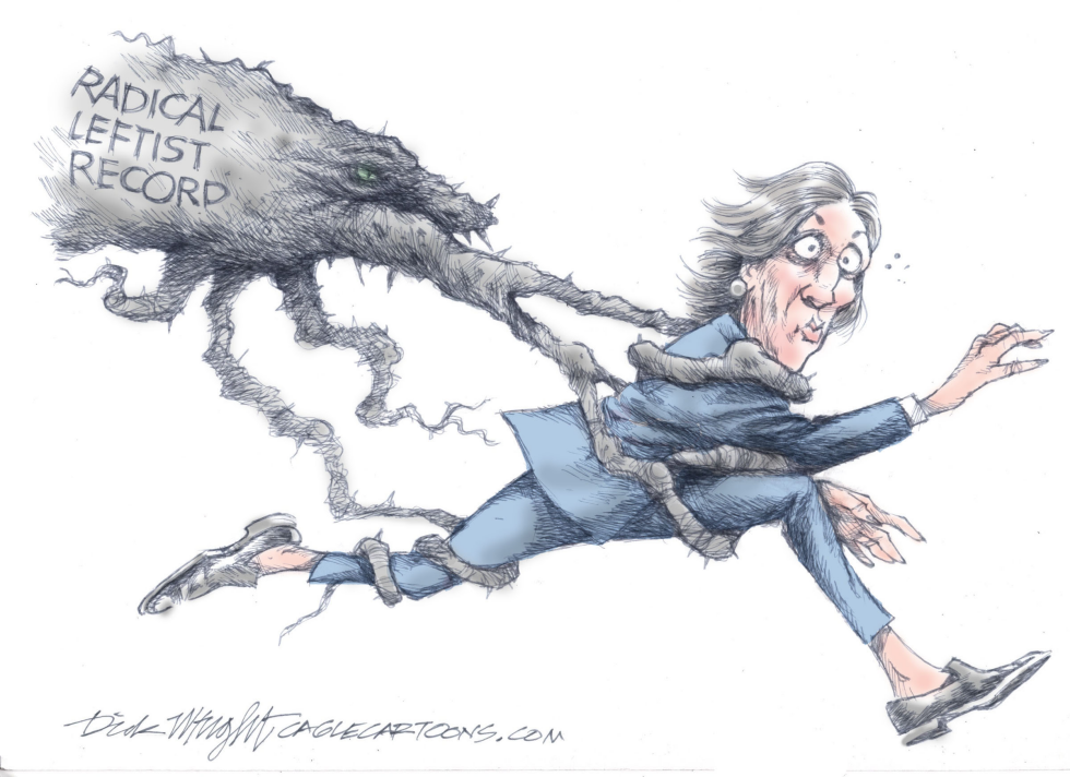 Kamala's Radical Problems
