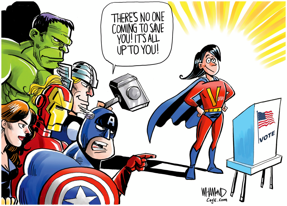The power of the voter