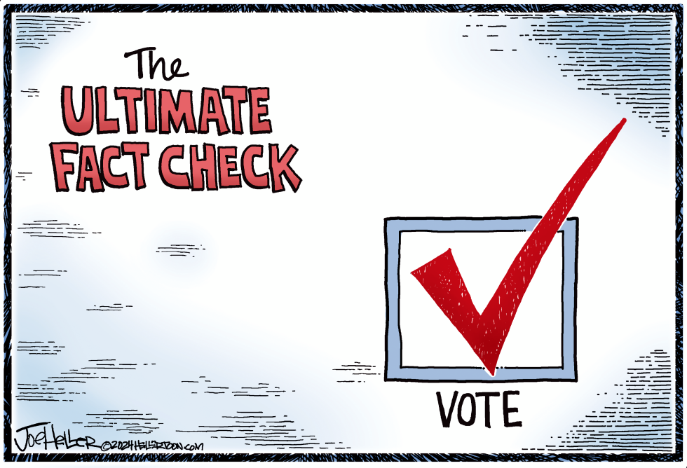 2024 Vote