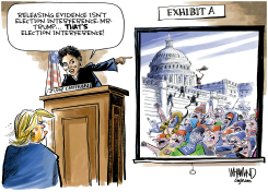 JUDGE CHUTKAN UNSEALS TRUMP EVIDENCE by Dave Whamond