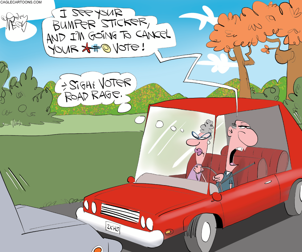 #1 ROAD RAGE WITH VOTERS by Gary McCoy