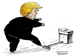 TRUMP'S SECOND PRESIDANTAL REQUEST by Vladimir Kazanevsky