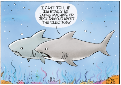 SHARKS ANXIOUS ABOUT ELECTION by Christopher Weyant