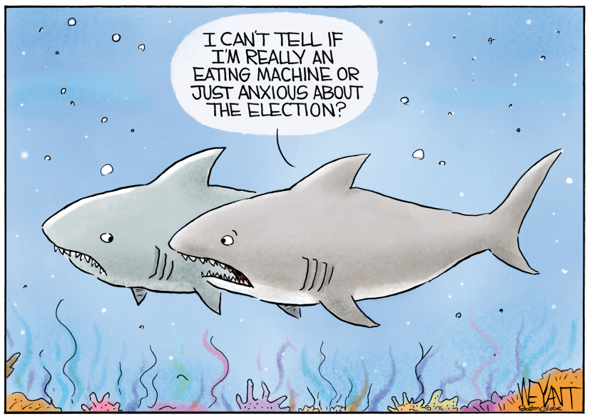Sharks Anxious About Election