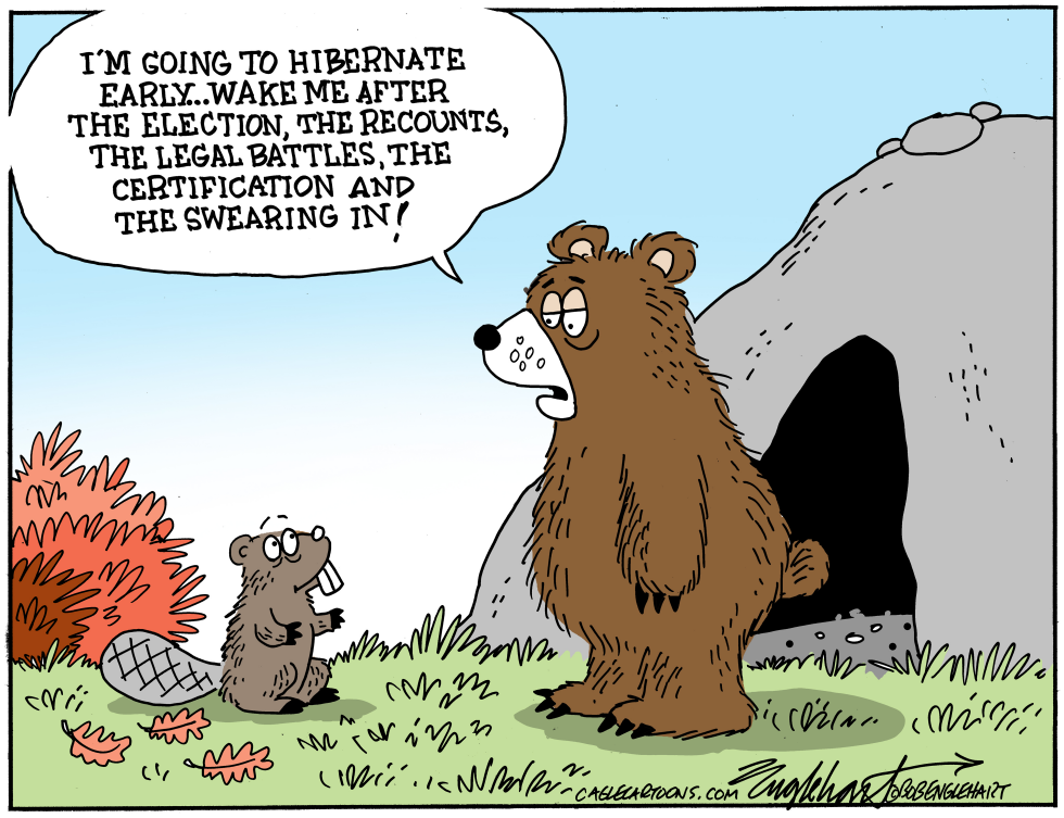 #3 BEAR HIBERNATES UNTIL AFTER THE ELECTION by Bob Englehart