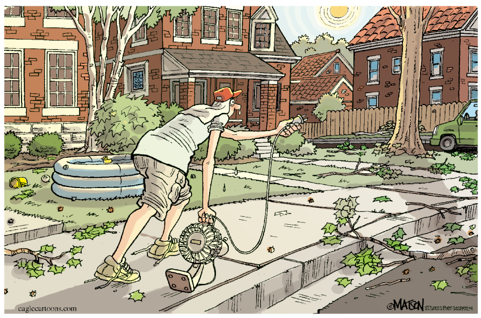 St Louisan Desperate For Power