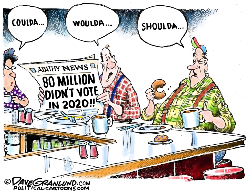 #2 VOTER APATHY MILLIONS by Dave Granlund