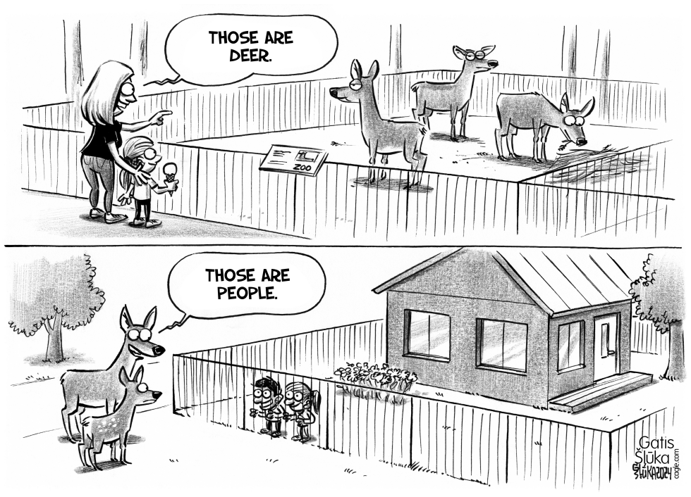 Deers standing at a fence and watching at children