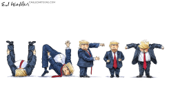 TRUMP UNFIT by Ed Wexler